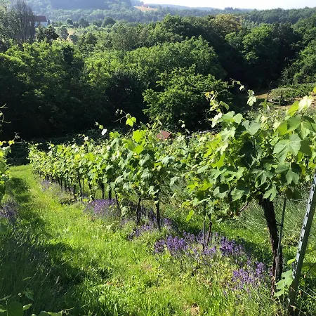 Winzerhaeuschen Kern Apartamento Fehring