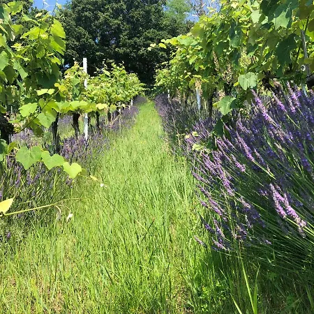 Winzerhaeuschen Kern Fehring