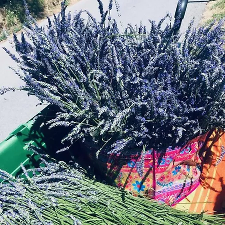 Winzerhaeuschen Kern Fehring