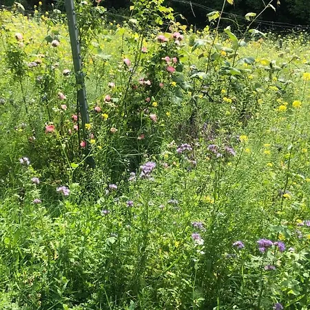 Winzerhaeuschen Kern *