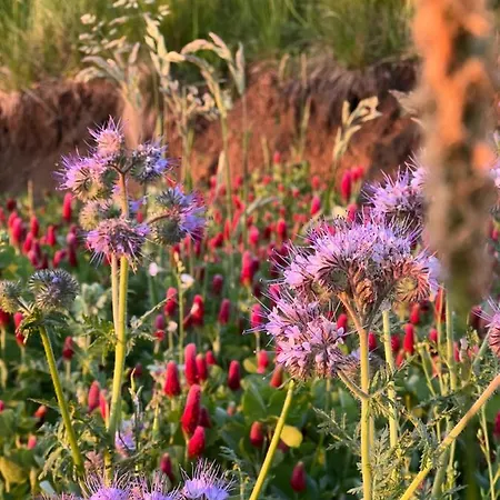 Winzerhaeuschen Kern * Fehring