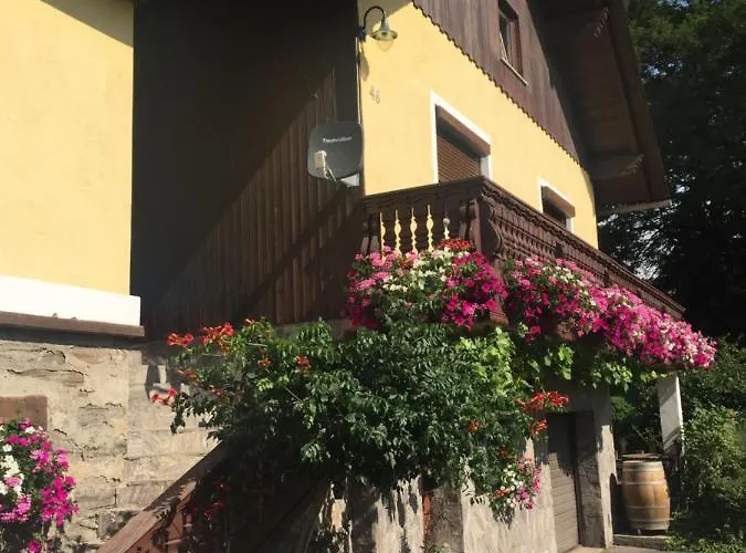 公寓 Winzerhaeuschen Kern *