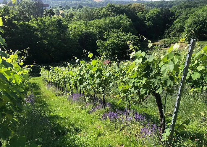 Winzerhaeuschen Kern شقة Fehring