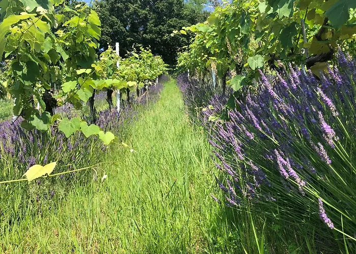 Winzerhaeuschen Kern Fehring