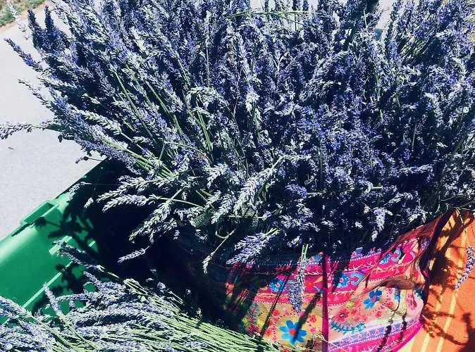 Winzerhaeuschen Kern Fehring