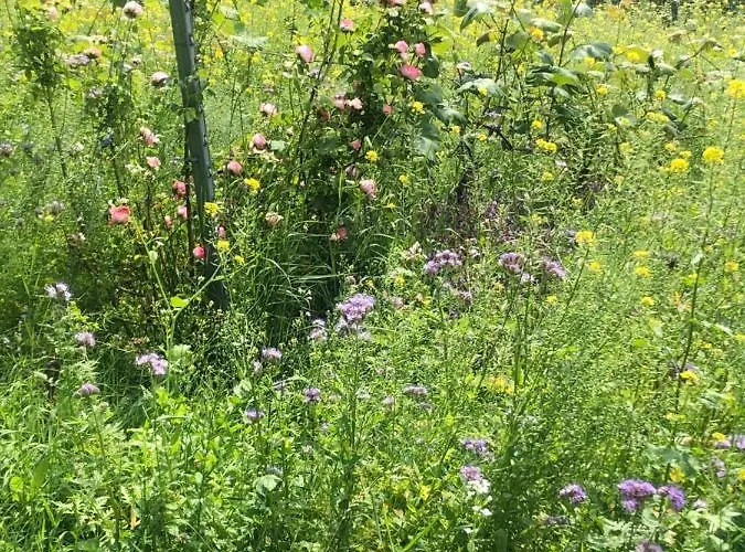 Winzerhaeuschen Kern *