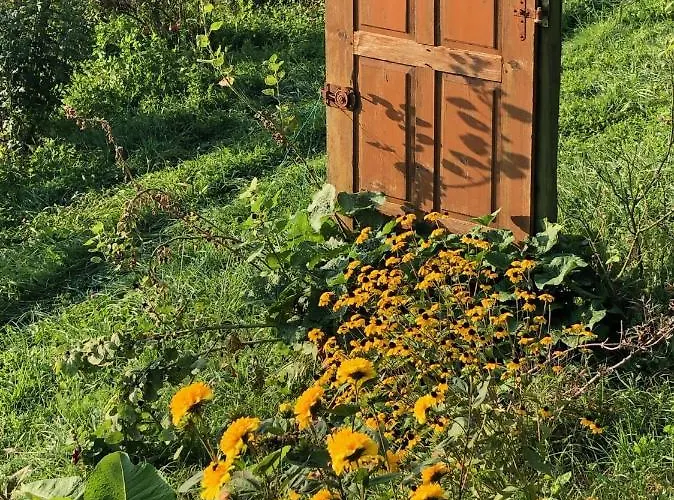 Winzerhaeuschen Kern *