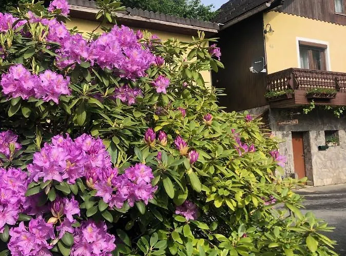 公寓 Winzerhaeuschen Kern *