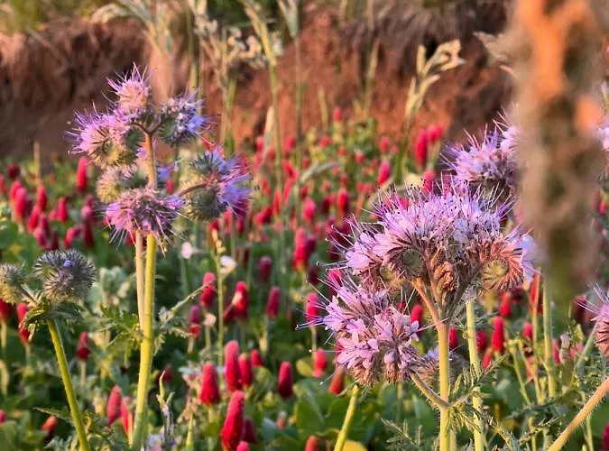 Winzerhaeuschen Kern * Fehring